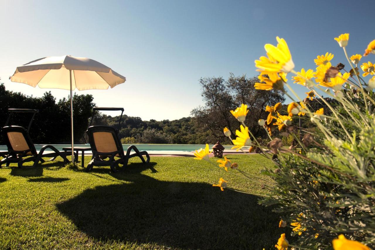 Poggio Sasseta Villa Montiano  Bagian luar foto